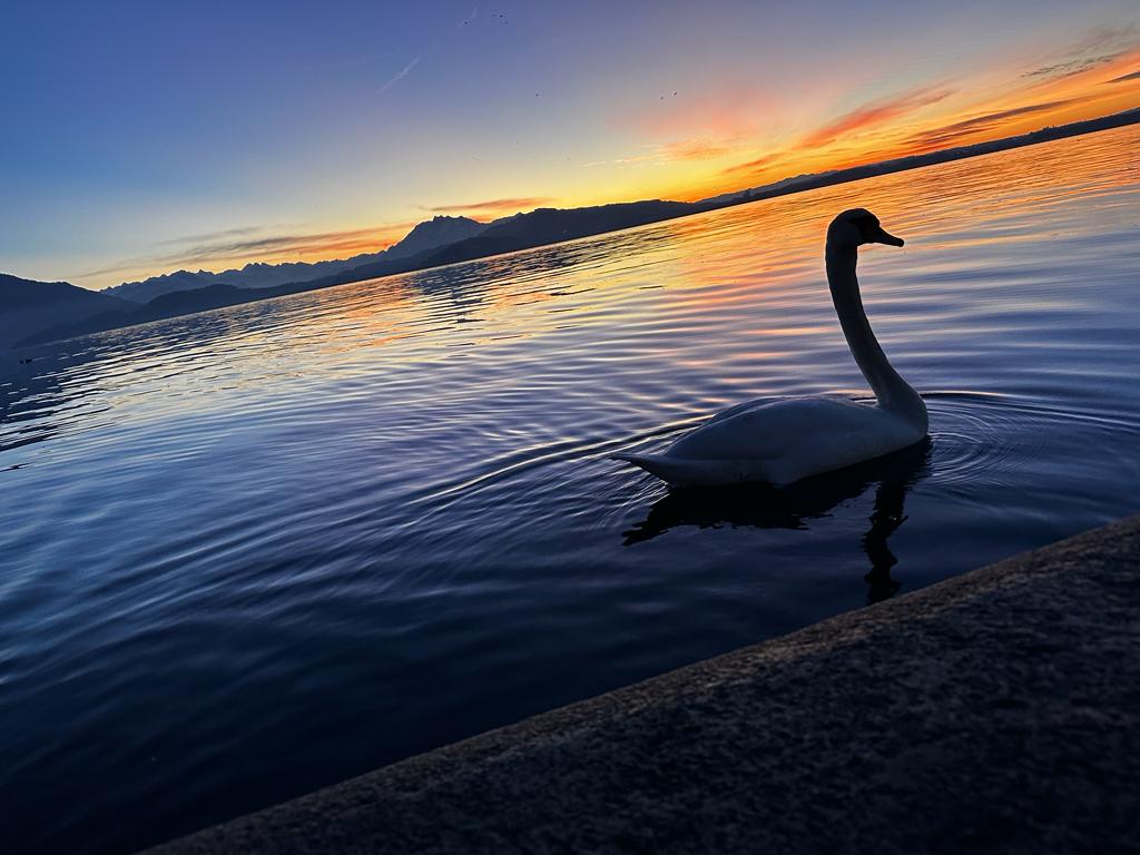 Lake Zug at dusk